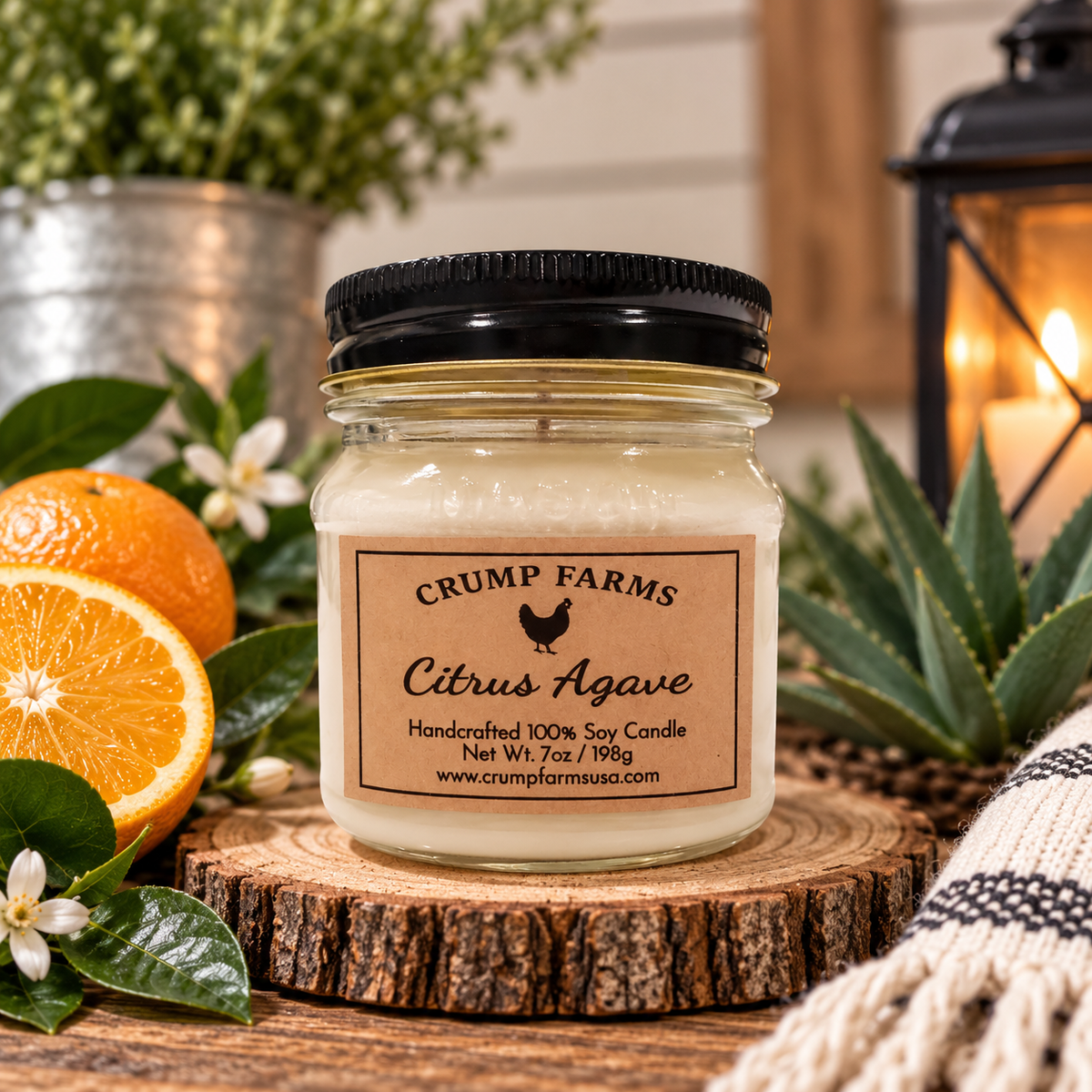 Citrus Agave