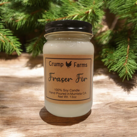 Fraser Fir